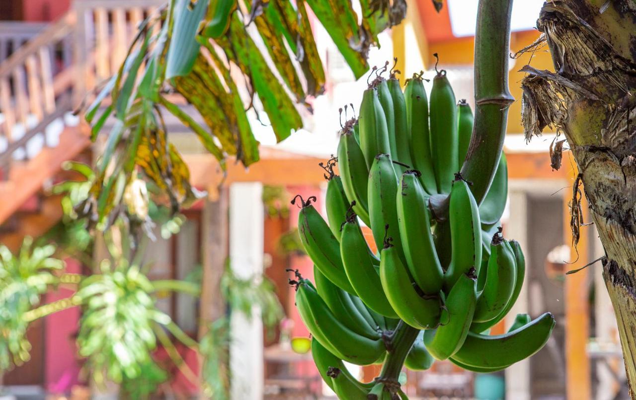 Suites Las Flores Maresias Eksteriør bilde