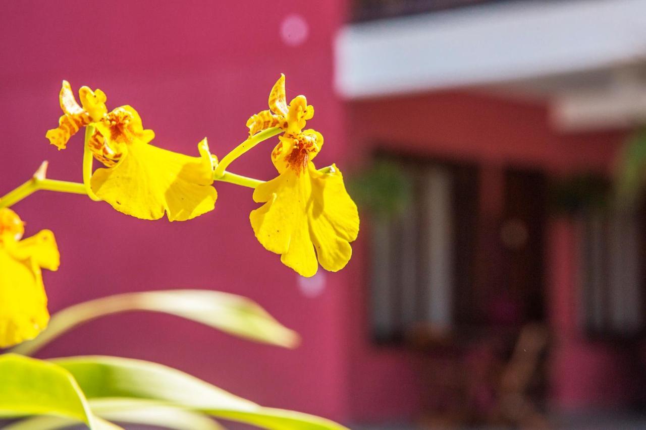 Suites Las Flores Maresias Eksteriør bilde